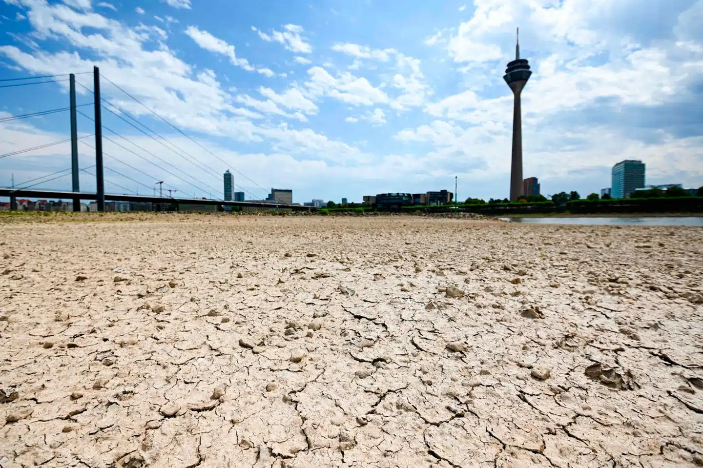 Det gav store problemer, da Rhinen var udtørret under sommertørken i 2022. Arkivfoto: Ina Fassbender, Scanpix