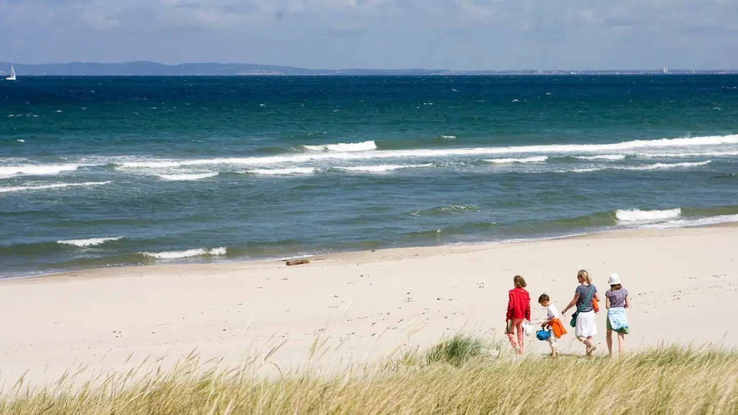 Stranden i Hornbæk.