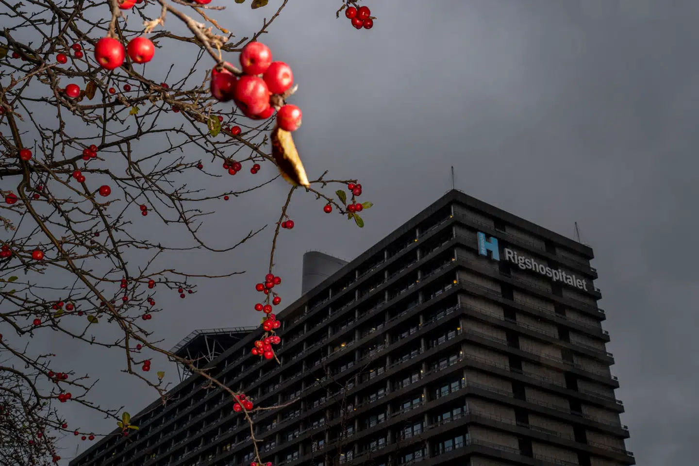 To en halv måned efter at Berlingske første gang kunne fortælle, at der er problemer med skimmelsvamp på Rigshospitalet, og at patienter er blevet smittet af svampe fra bygningerne, skal hospitalets ledelse redegøre for, hvad der er sket, over for regionens politikere. Med til mødet har de flere nyheder.