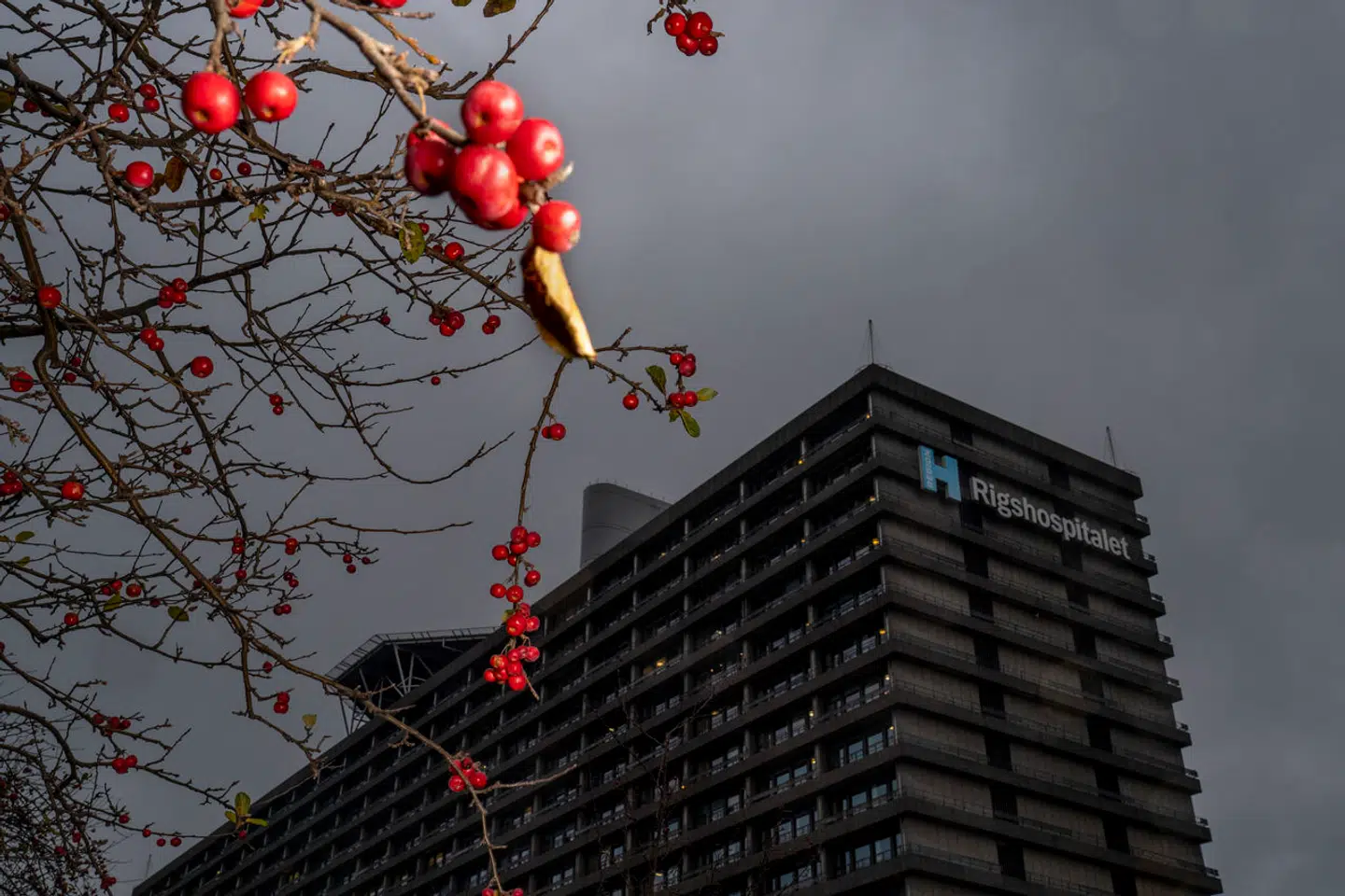 To en halv måned efter at Berlingske første gang kunne fortælle, at der er problemer med skimmelsvamp på Rigshospitalet, og at patienter er blevet smittet af svampe fra bygningerne, skal hospitalets ledelse redegøre for, hvad der er sket, over for regionens politikere. Med til mødet har de flere nyheder.