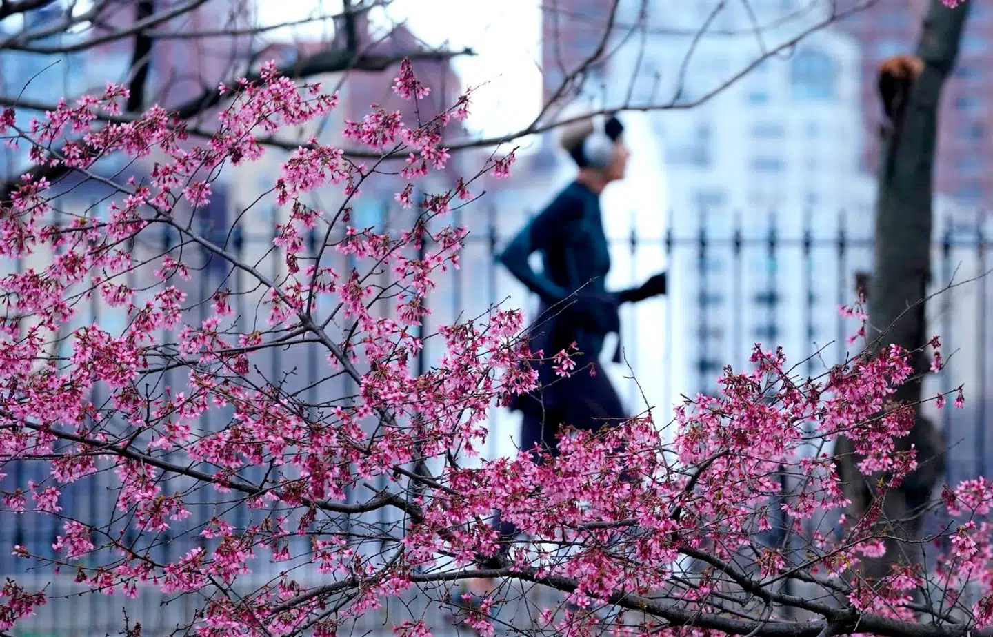 Parker som Central Park i New York lader overklassen boltre sig, men udstøder de dårligst stillede, mener sociolog. Arkivfoto: Timothy A. Clary, Scanpix