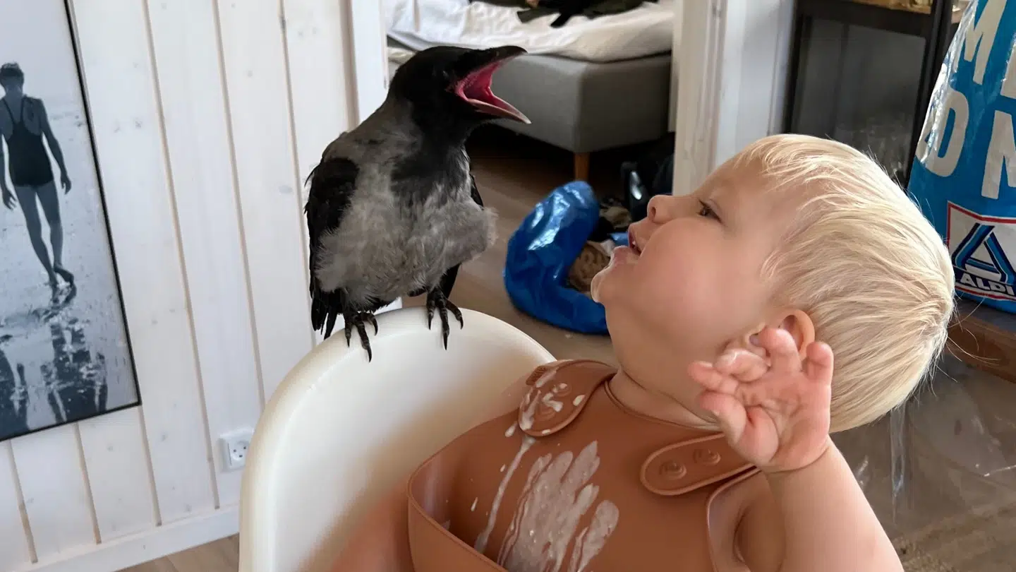 Otto sammen med Russell.