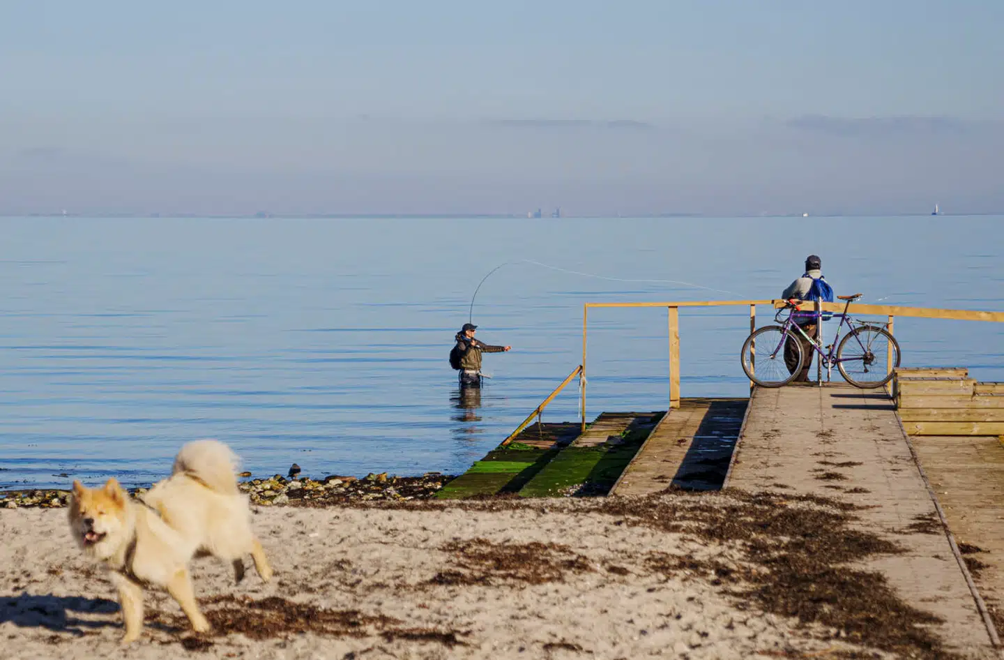 Følelsen af lykke har vist sig at være notorisk svær at måle. Arkivfoto: Liselotte Sabroe, Scanpix