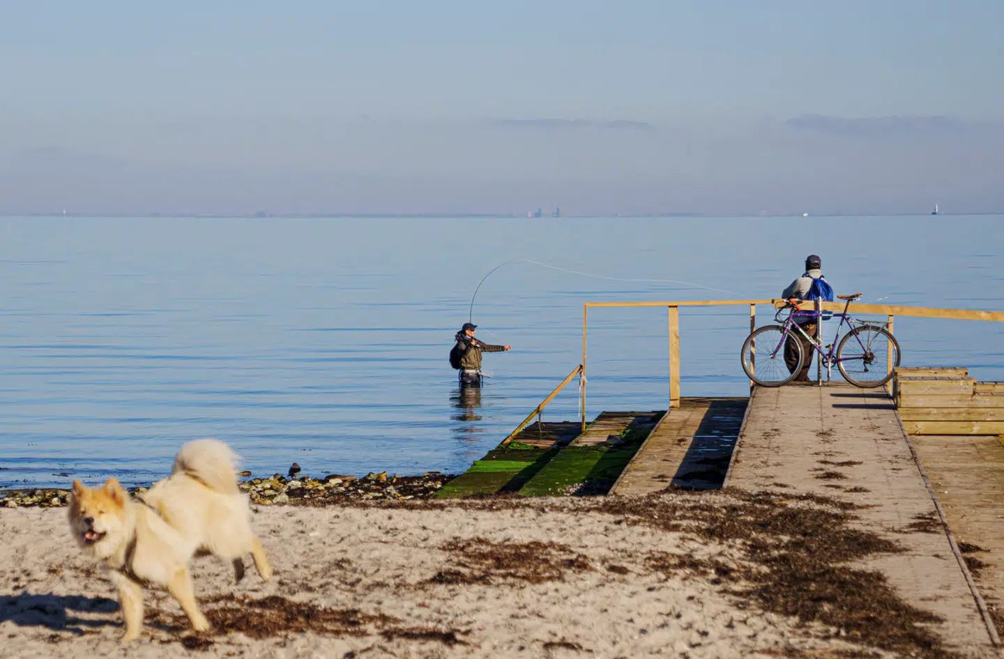 Følelsen af lykke har vist sig at være notorisk svær at måle. Arkivfoto: Liselotte Sabroe, Scanpix