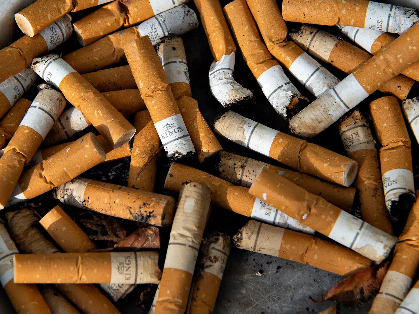 Akrivfoto: Henning Bagger, Scanpix