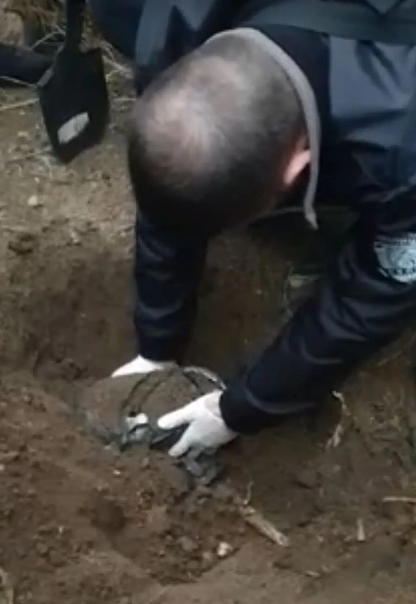 Foto: Serbiske myndigheder