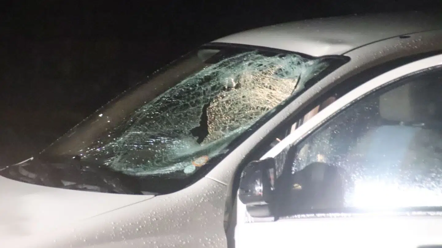 Foto: Presse-fotos.dk