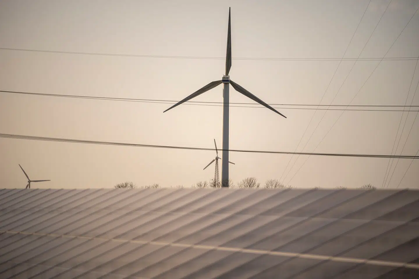 Vi står over for en monumental udfordring med klimaforandringerne, hvor nøglen til løsningen også ligger i vores kollektive tro på, at vi kan gøre en forskel, mener Camilla Starup.