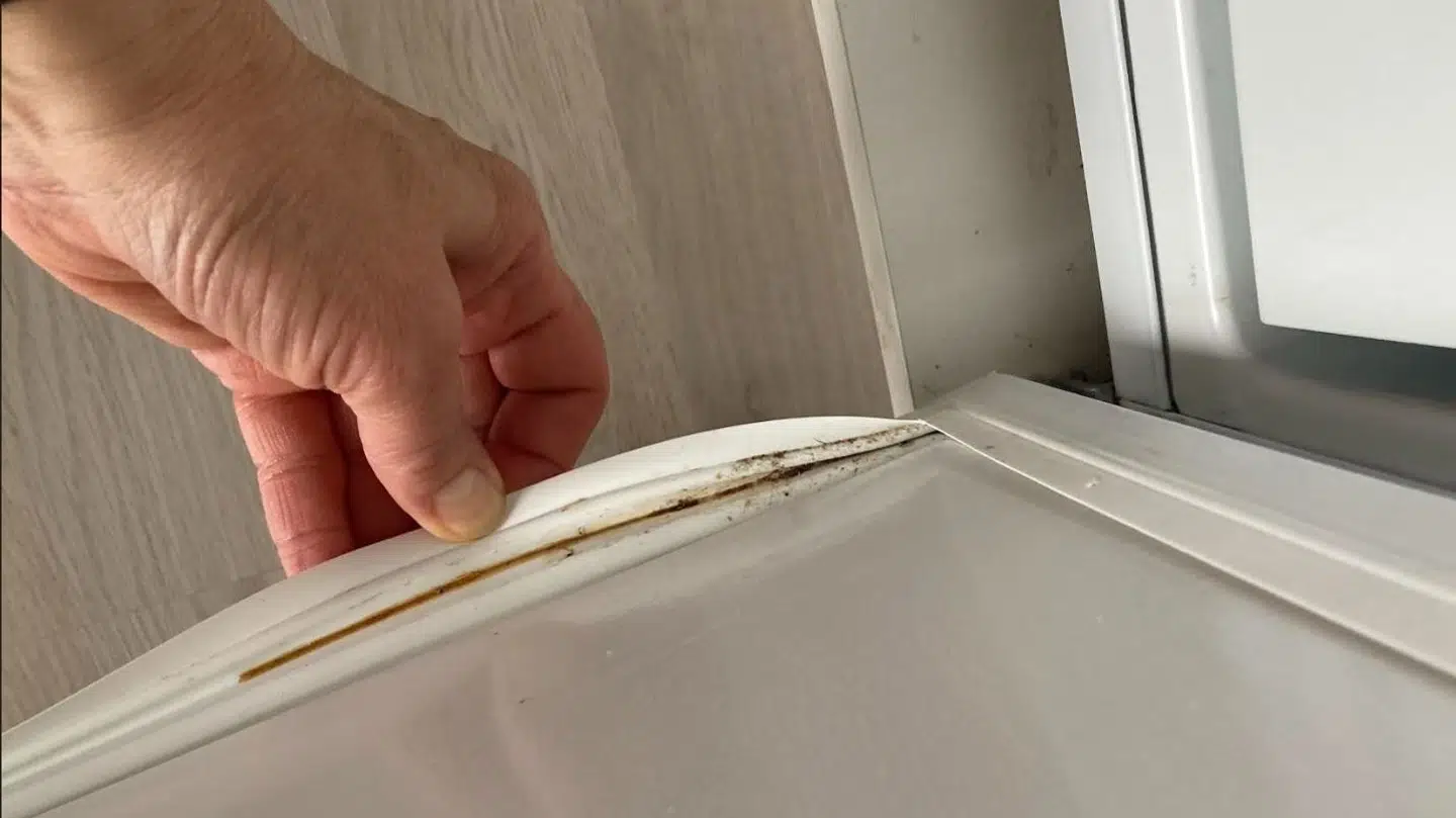 Køleskabet var tydeligvis ikke rengjort i sommerhuset i Hemmet.