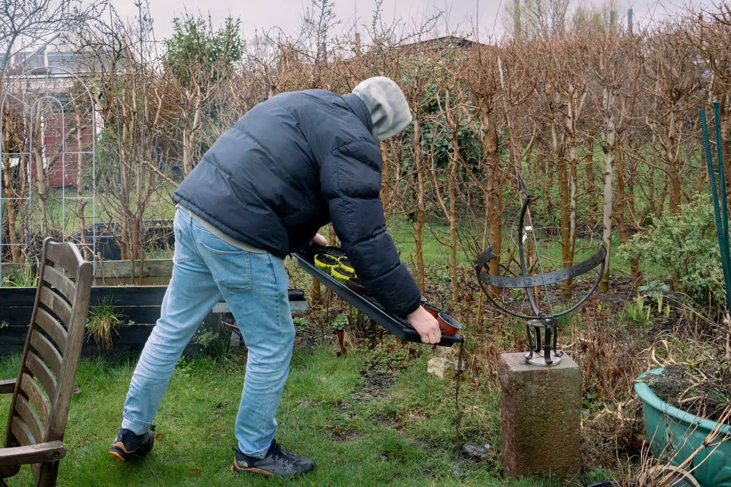 Folkeskolelæreren Søren har i årevis dyrket sin eget cannabis for at undgå at købe fra organiserede kriminelle. Han planter sine frø i marts og høster sine planter i oktober.
