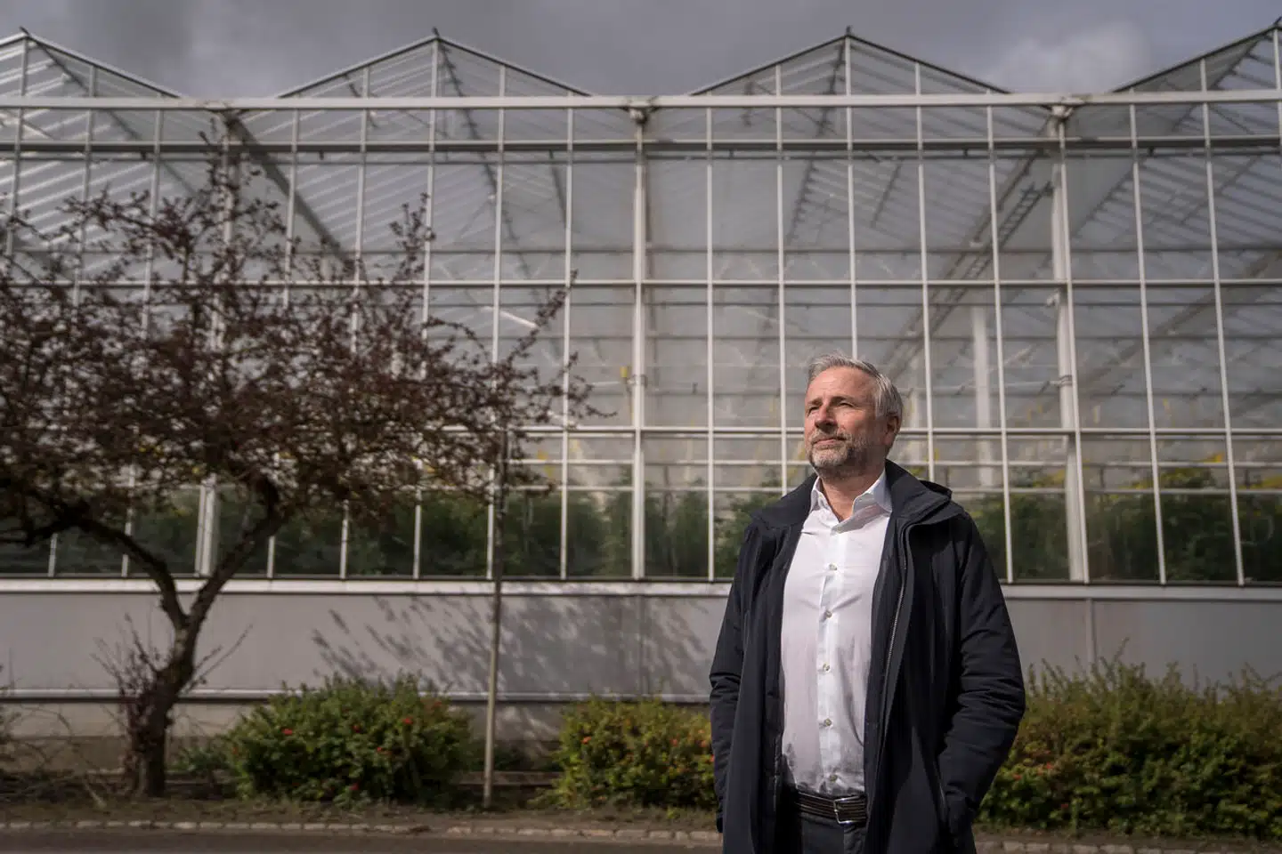 Mads Ulrik Pedersen har de seneste år udvidet og moderniseret produktionen af tomater med fokus på bæredygtighed og energieffektivitet.