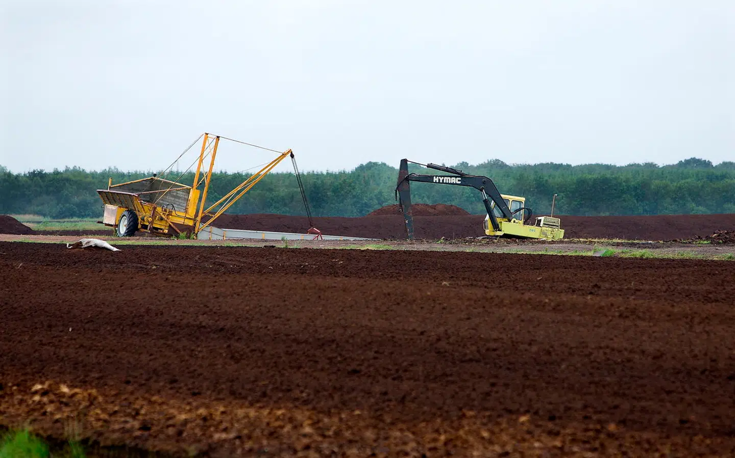 Tørvemoser spiller en afgørende rolle i klimaet ved at lagre store mængder kulstof.