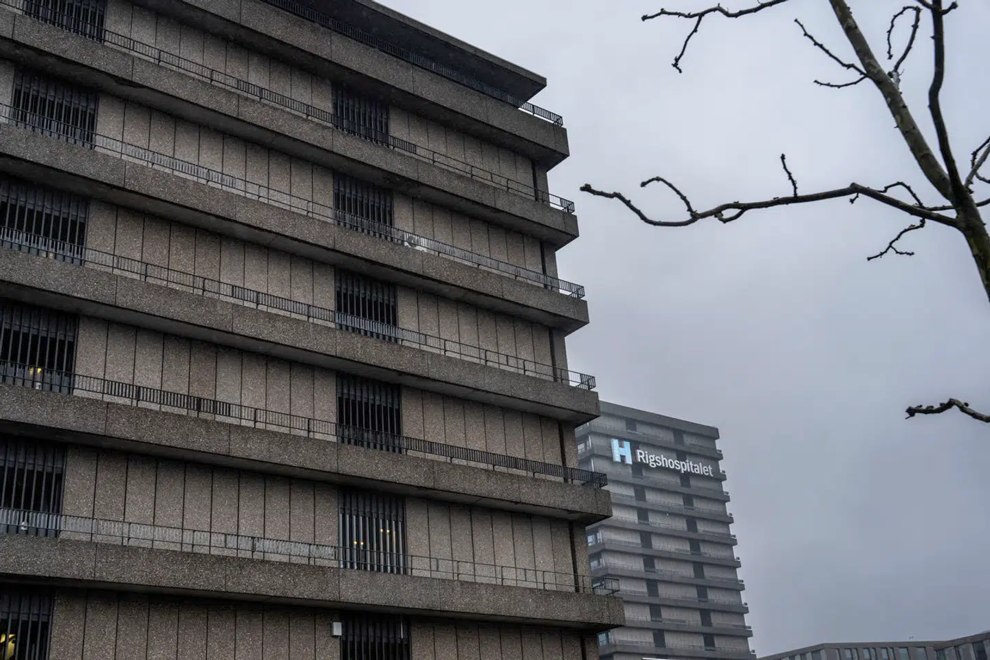 »Den nuværende lovgivning betyder, at en udenlandsk ægtefælle, hvis partner for eksempel arbejder på Rigshospitalet, ikke uden videre må arbejde i Region Hovedstaden,« skriver de tre politikere.