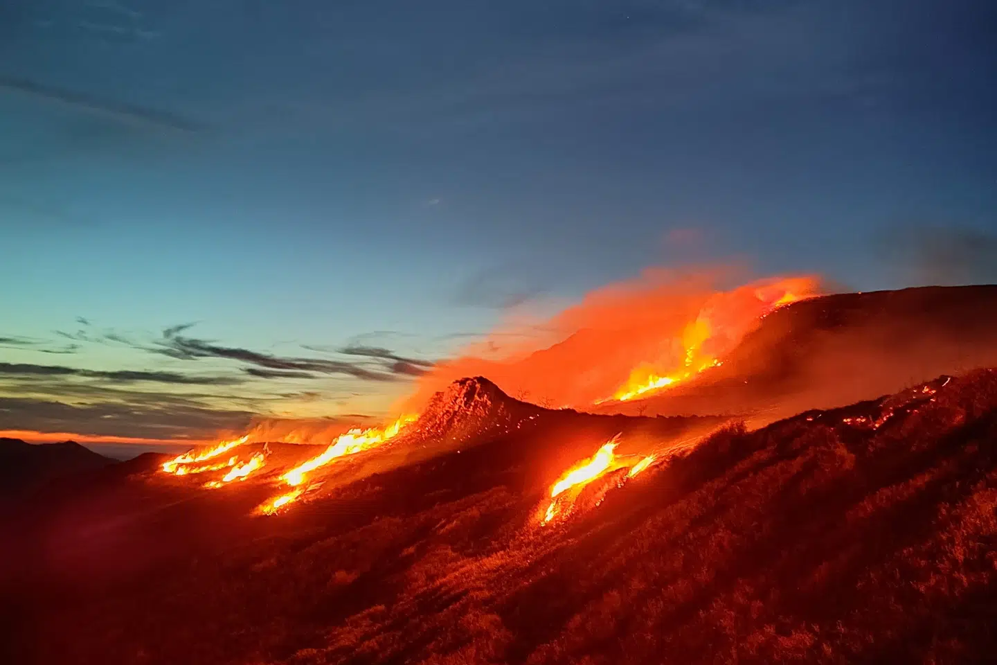 En skovbrand Bieszczadybjergene i Polen i april. EU's klimaovervågning Copernicus peger i rapport på, at klima- og vejrforandringer i 2023 kostede penge, menneskeliv og gik ud over biodiversitet og økosystemer. (Arkivfoto).
