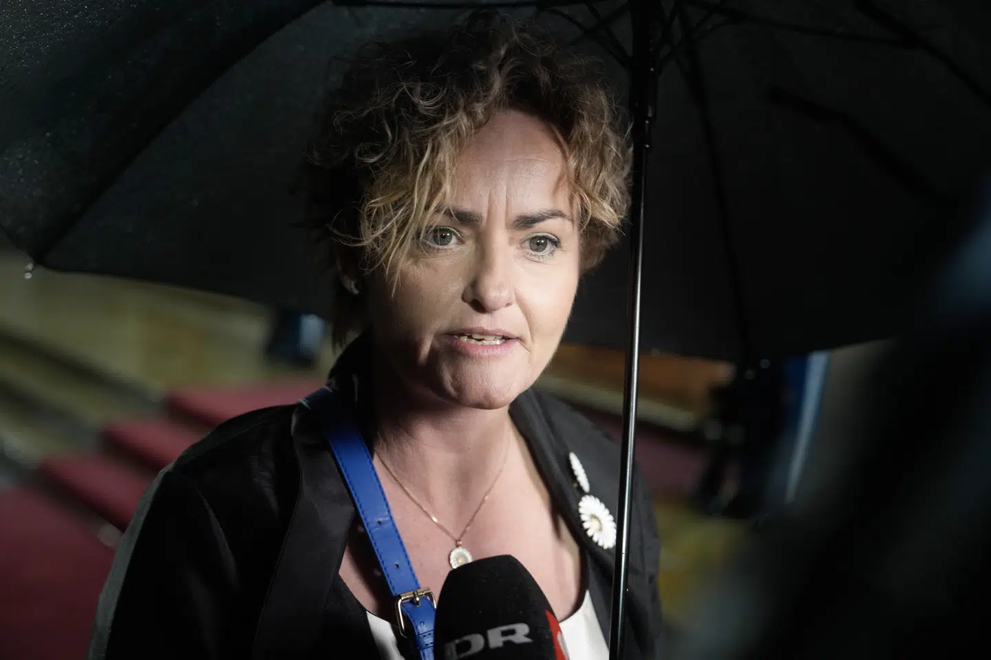 Det er en smal kreds af partier, social- og boligminister Pernille Rosenkrantz-Theil har inviteret med til forhandlinger om handicapområdet. (Arkivfoto).