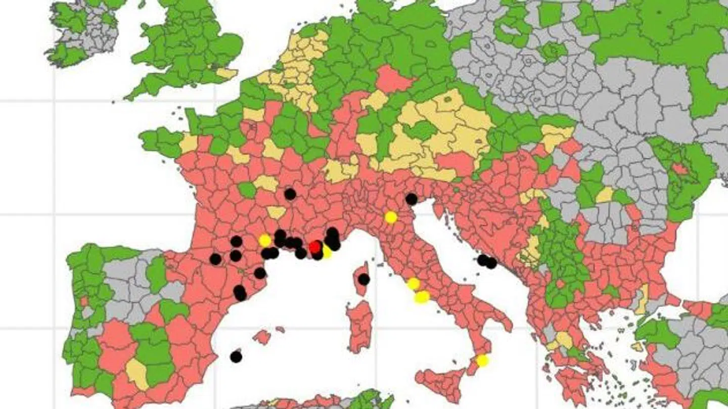 Her kan du se de lande, hvor tigermyggen har etableret sig (rød), er blevet registreret (gul), hvor den ikke er ankommet endnu (grøn). De grå områder på kortet er ikke registreret. Forsker Rachel Lowe mener, at myggen vil finde nye levesteder i Nordeuropa i de kommende årtier.