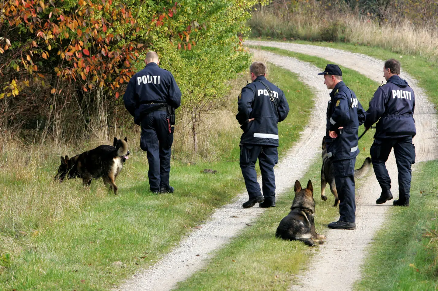 Grenå Politi bruger politihunde i 2005.
En borger indsendte i 2023 en adfærdsklage til Den Uafhængige Politianklagemyndighed (DUP), efter at han blandt andet blev bidt i hovedet af en politihund. (Arkivfoto).