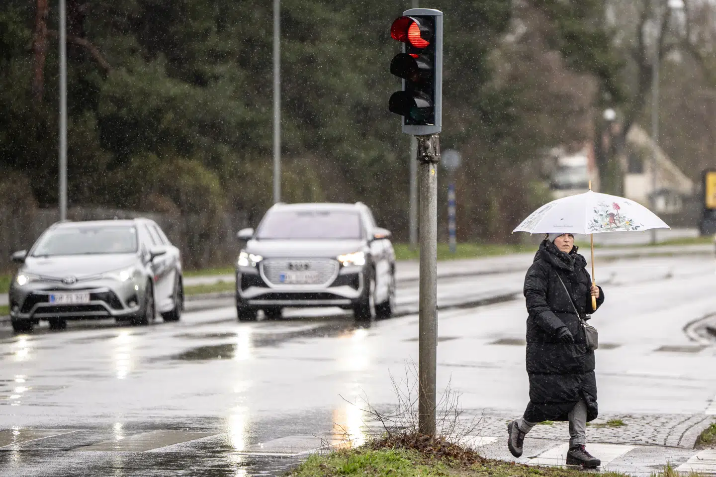 Særligt i begyndelsen af april var der nogle våde dage. Det er med til at give usædvanligt meget nedbør i april samlet set. (Arkivfoto).