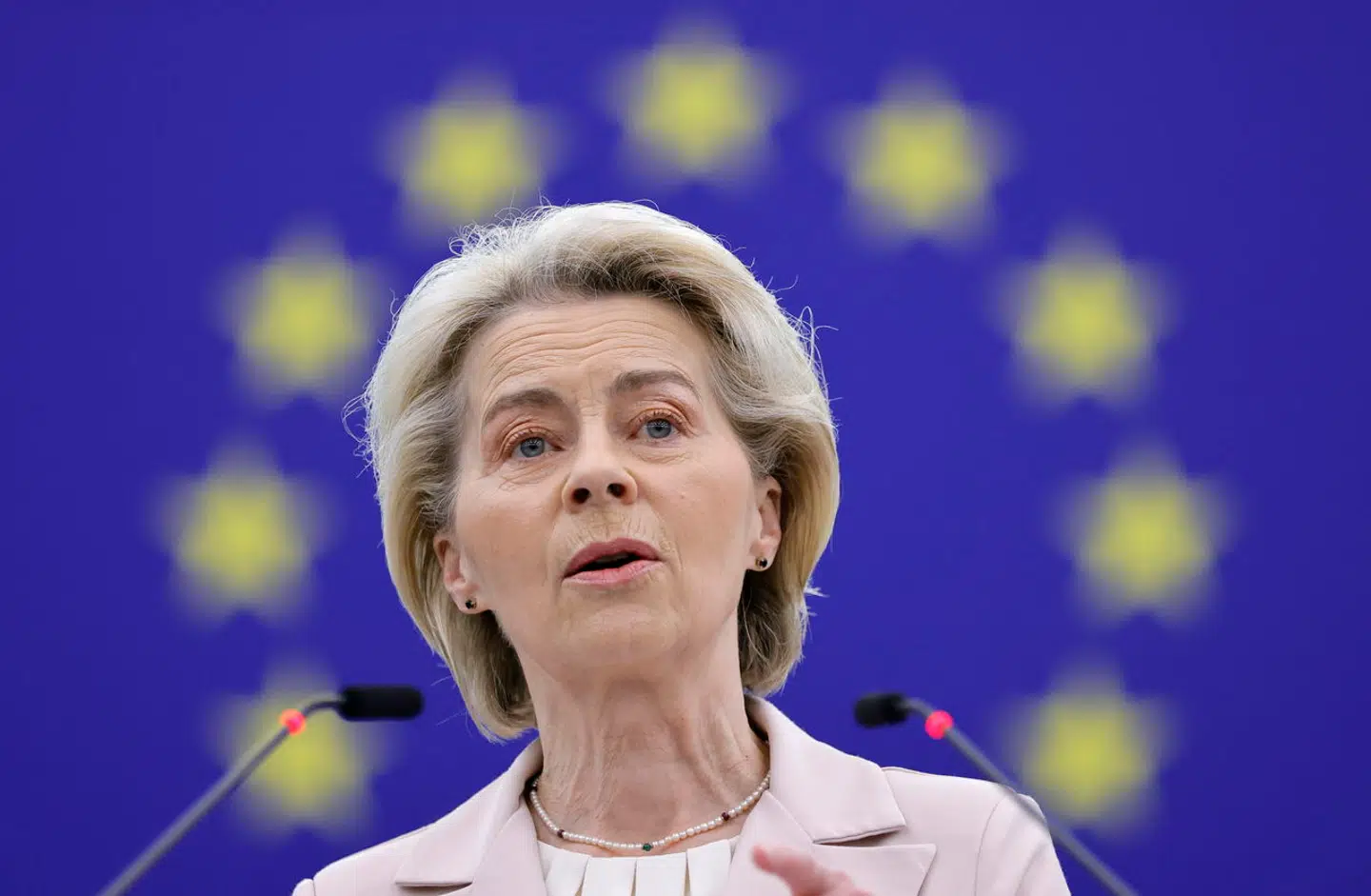 »Vores kampagneløfte er, at vi vil fyre 10.000 EU-bureaukrater. Og jeg vil gerne begynde med dig, Ursula von der Leyen,« siger Anders Vistisen, mens der lyder et gisp i salen.