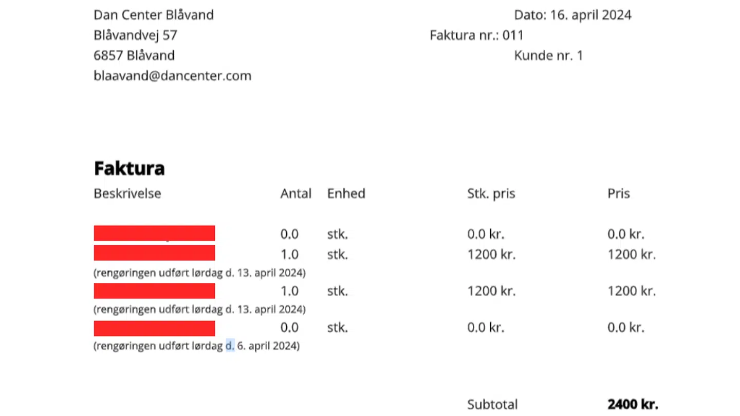 Dina Langmach har siden januar i år sendt 11 fakturaer til DanCenter, men foreløbig kun fået svar på én.