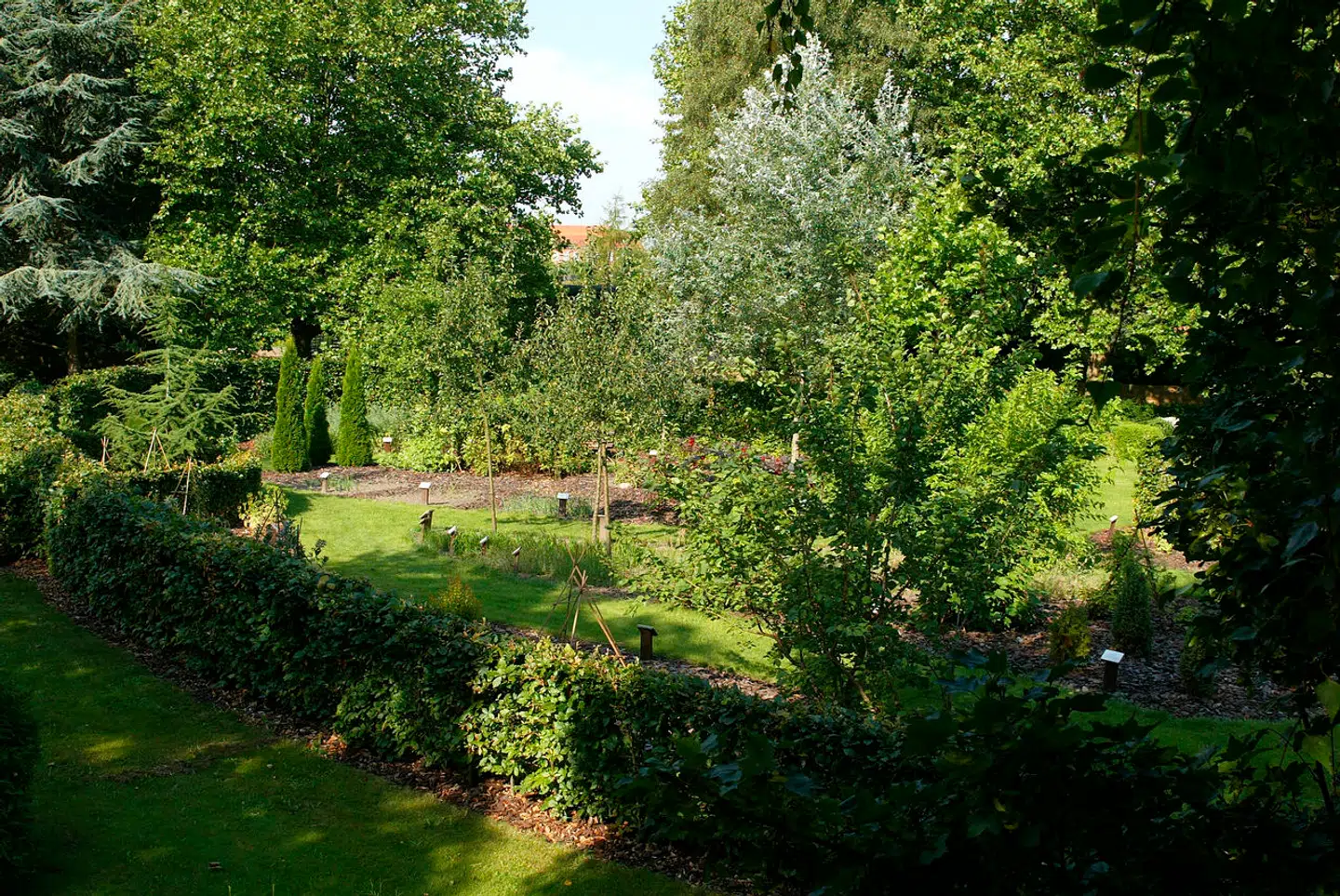 Det er i forlængelse af Solbjerg Parkkirkegård, at Frederiksberg Kommune har fundet 50 kvadratmeter til at anlægge en ny skov.