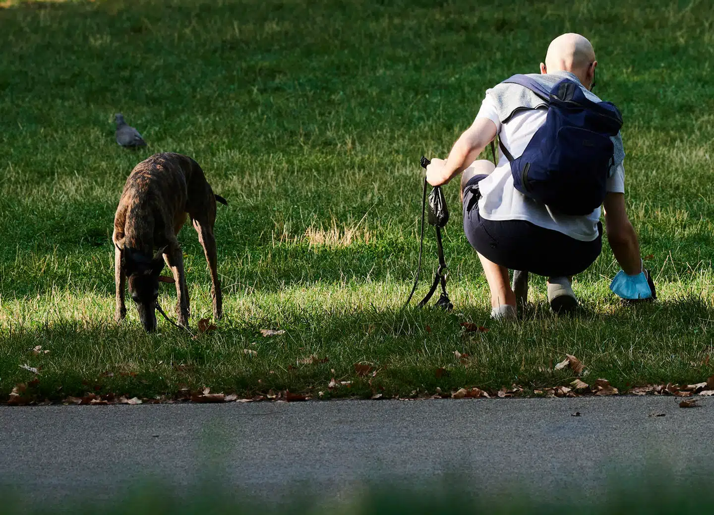 Hvis man kan spore hundeejere, der »glemmer« at bruge hømhøm-poser, tager de hurtigt ved lære. Det viser erfaringer fra Catalonien.