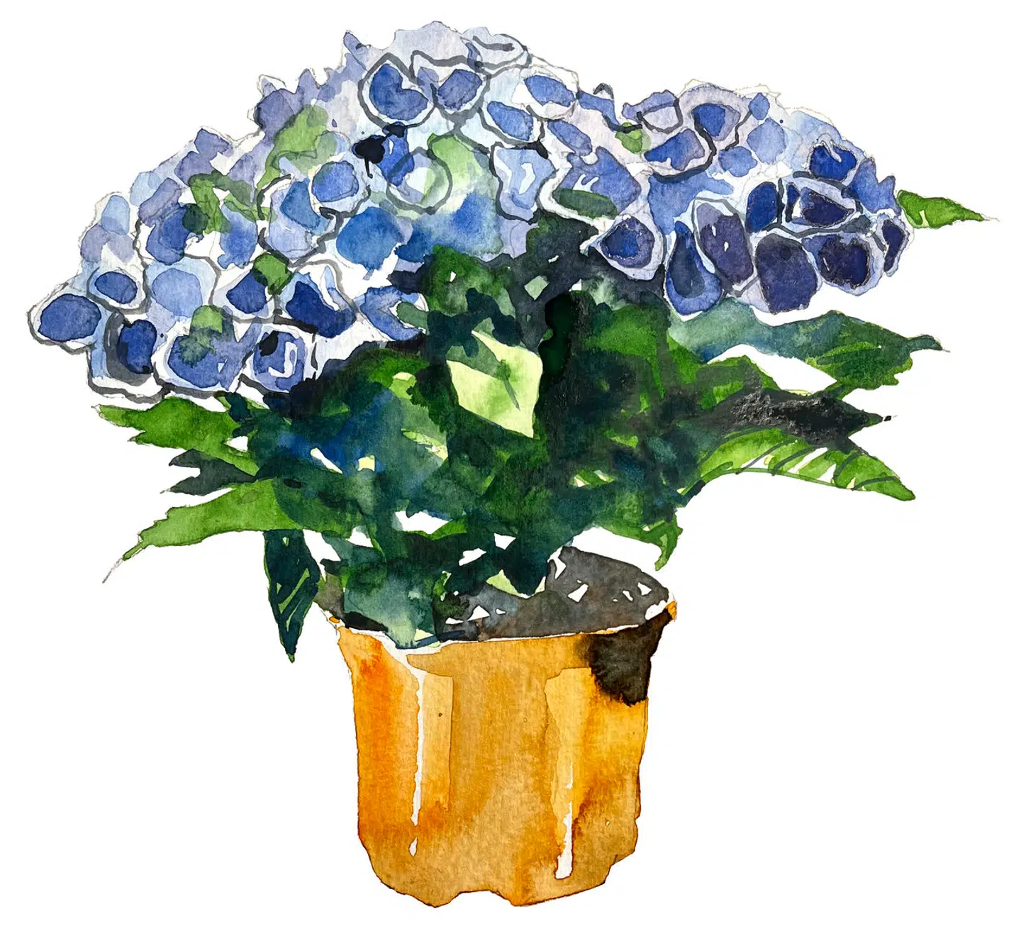 Illustration: Peter Wandel