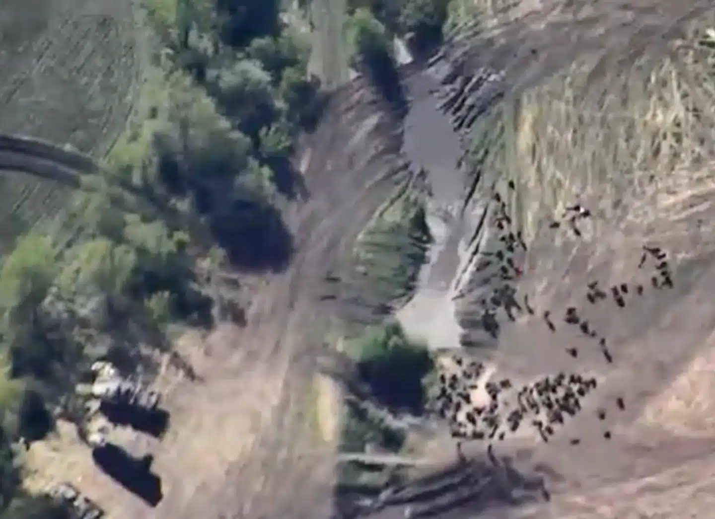 Dronebilleder fra den ukrainske hær viser angiveligt, at mange russiske soldater var samlet, da man gennemførte et stort angreb.