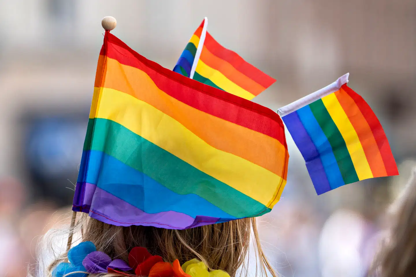 »I de senere år har Copenhagen Pride udviklet sig fra at være en festlig parade til at være en politiserende organisation med Hellig Frans i ascendanten,« skriver Anne Sophia Hermansen. Arkivfoto: Jens Nørgaard Larsen, Scanpix