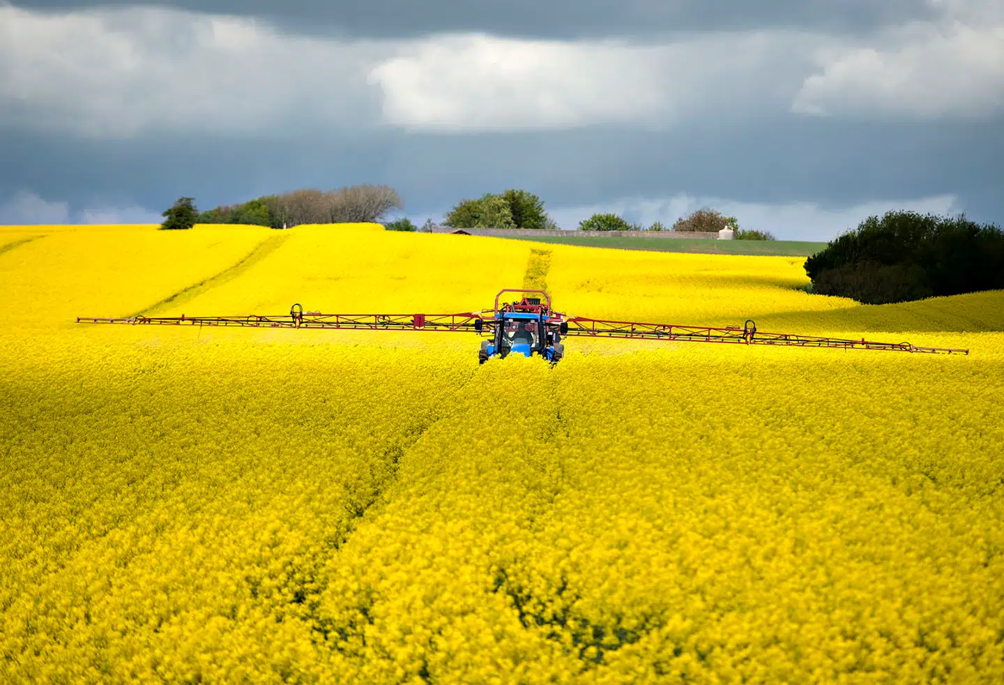 »Selvfølgelig er der brug for en CO₂-afgift i landbruget. Hvis ikke vi gør noget, så vil landbruget i 2030 stå for 46 procent af Danmarks udledning,« skriver Katrine Evelyn Jensen.