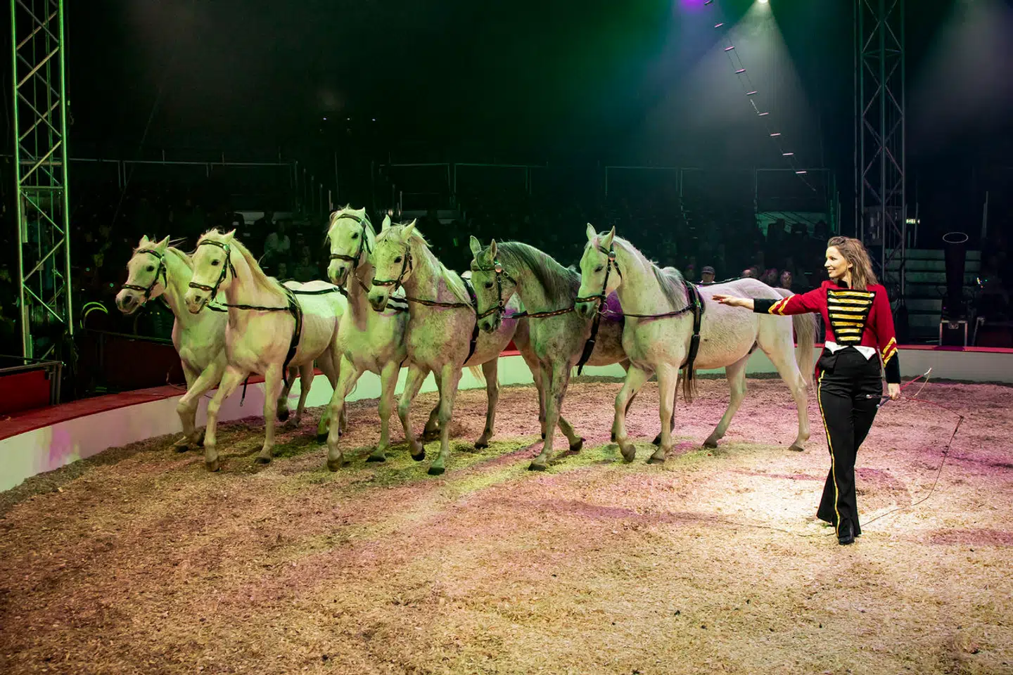 »Cirkus er magisk. Men cirkus er ikke kun hvad der sker i manegen. Det er nærværende. Det er kulturarv,« skriver Anders Kronborg.