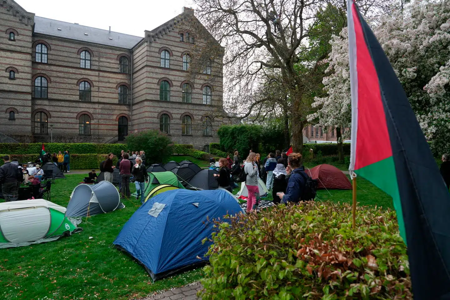 Flere studerende har slået telte op i »Den hemmelige have« ved Københavns Universitet