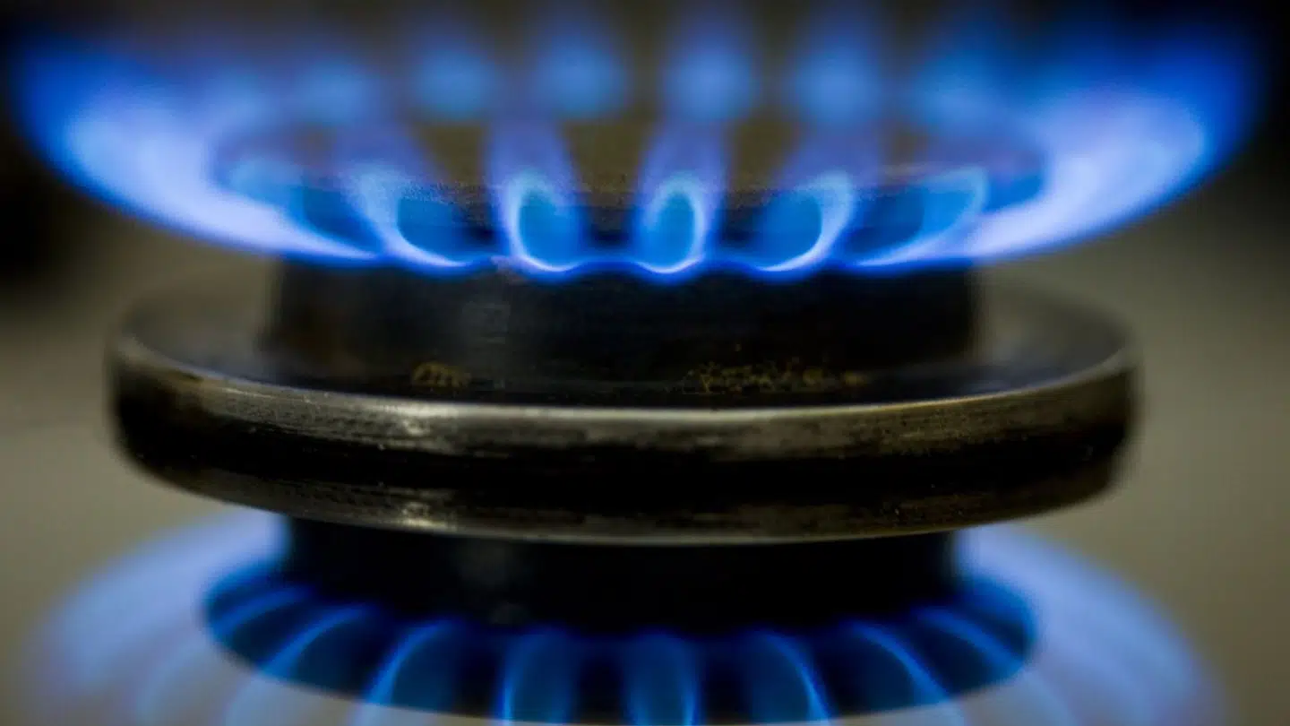 Mange danske virksomheder kan ikke være sikker på, at få leveret gas i en krisesituation.