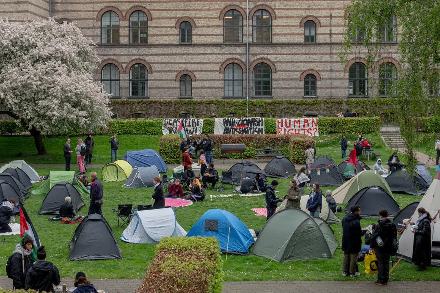 De studerendes lejr foran Københavns Universitet kaldte de selv for »Rafah Gardens«.