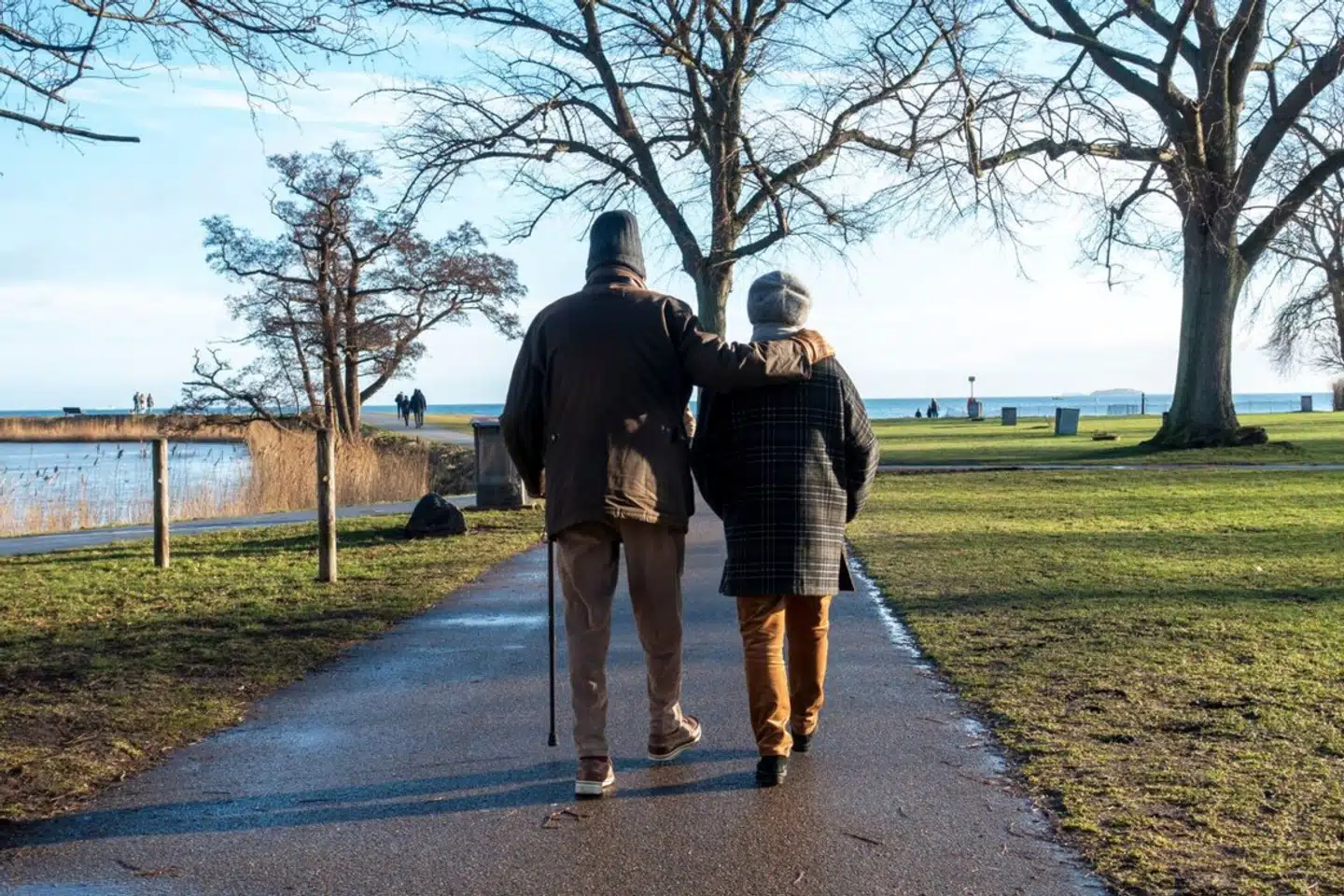 Alzheimers sygdom er ifølge Nationalt Videnscenter for Demens årsag til knap to ud af tre tilfælde af demens hos ældre.