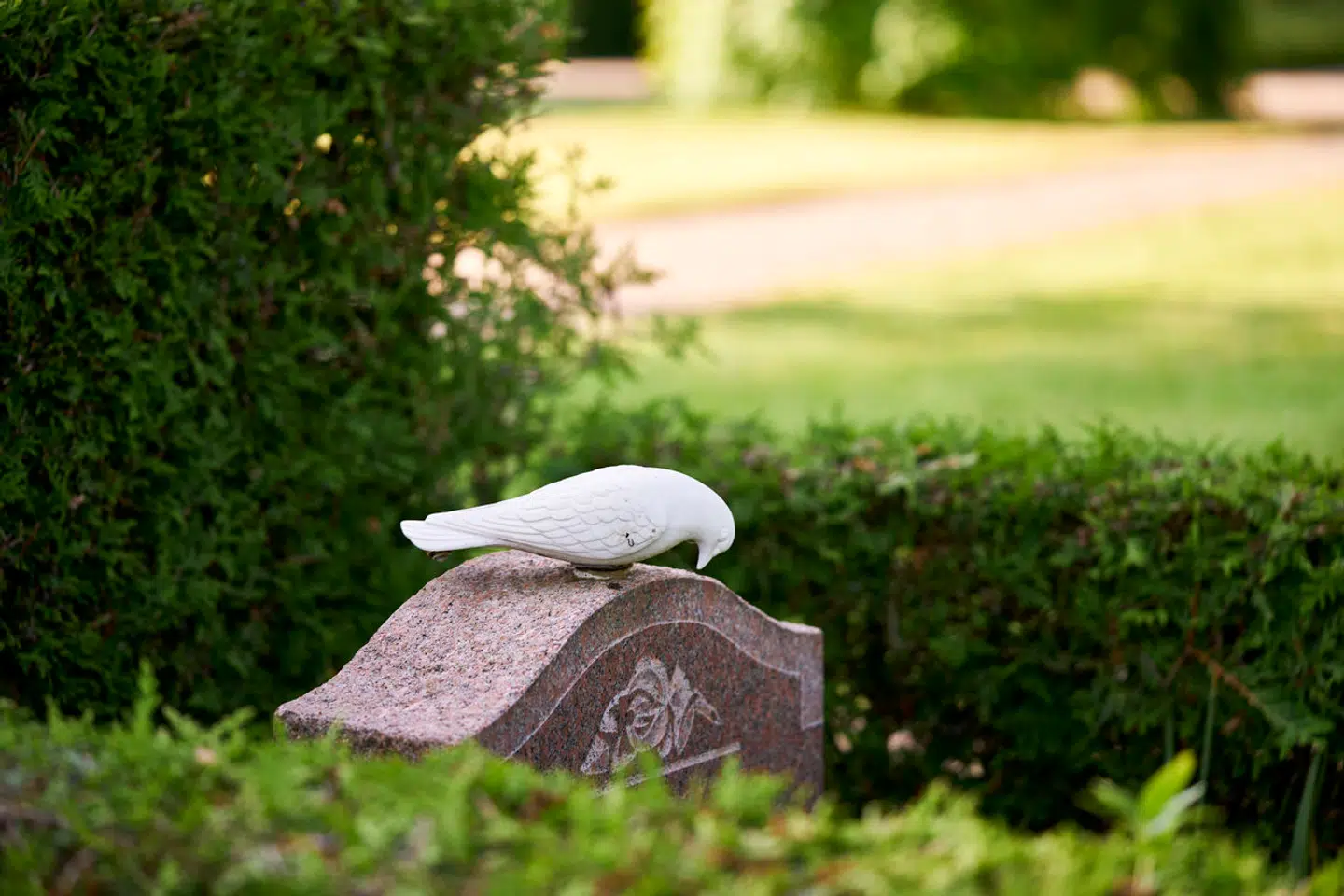 »Ingenting kommer af ingenting,« skriver advokat Allan Ohms til en læser, der opfordres til at gøre noget aktivt i forhold til at finde ud af, om der venter en mulig arv efter den afdøde far.