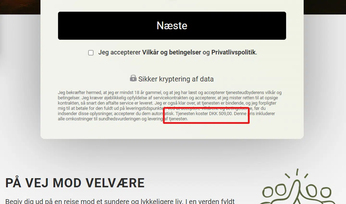Kun hvis man scroller ned forbi åbningsvinduet, ser man med småt, at det koster 509 kroner. Men på både mobil og pc man kan altså godt gennemføre testen uden overhovedet at se prisen.