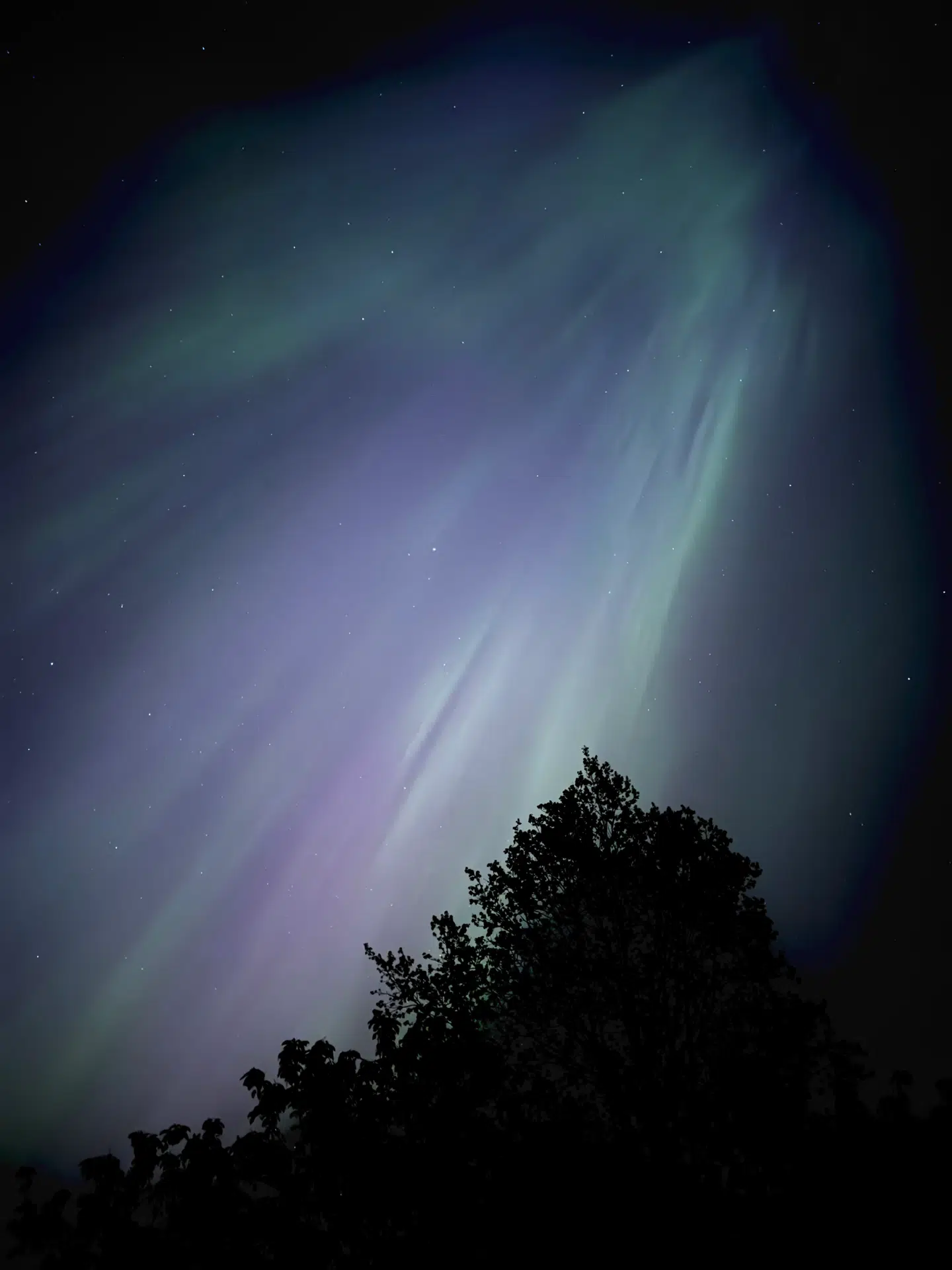 Peter Tanev oplevede selv nordlyset i nordsjællandske Liseleje. Foto: Privat
