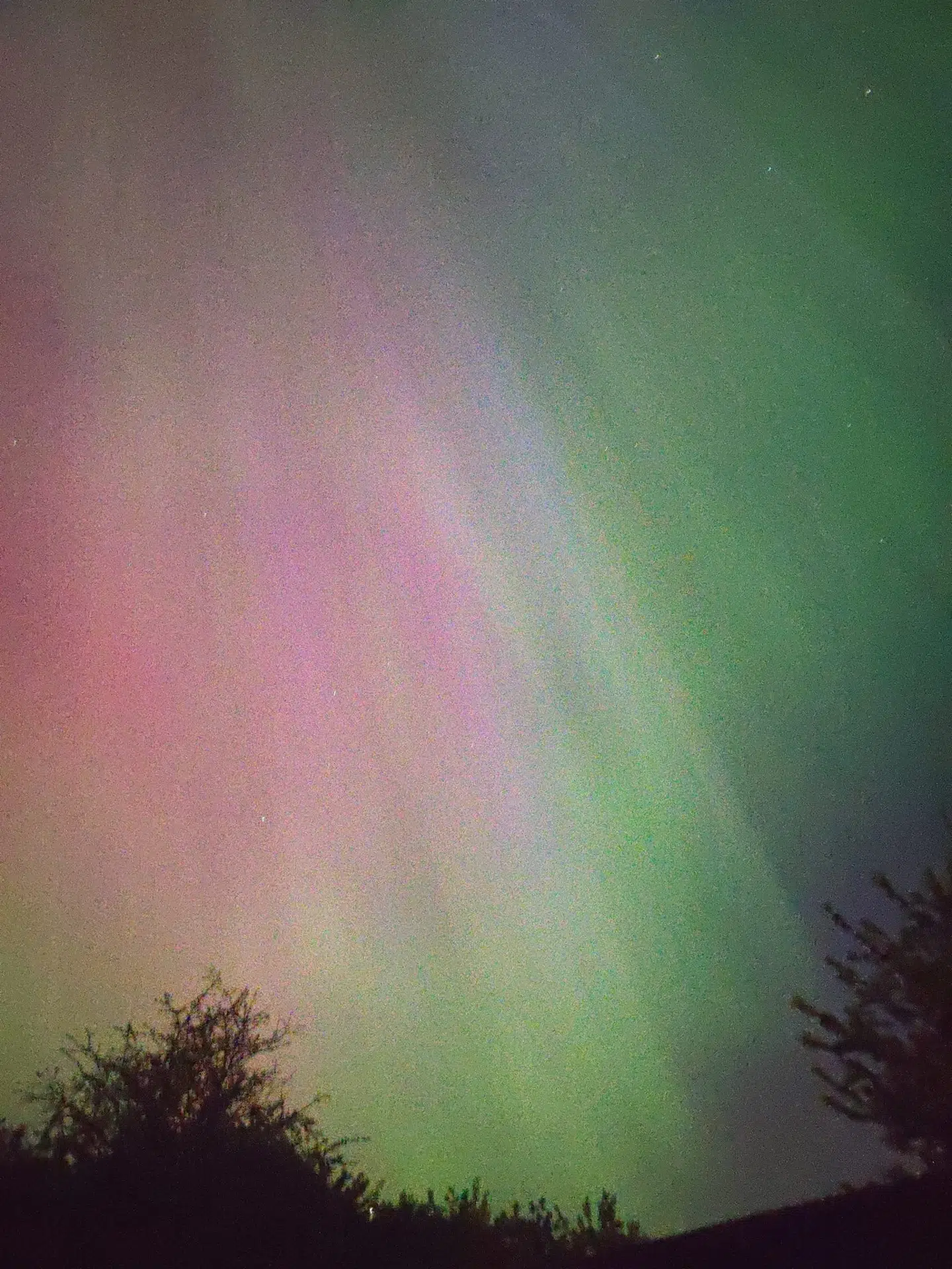 Også Lars Bang Rasmussen oplevede det »dybt fascinerende« nordlys i Låsby natten til lørdag. Foto: Privat