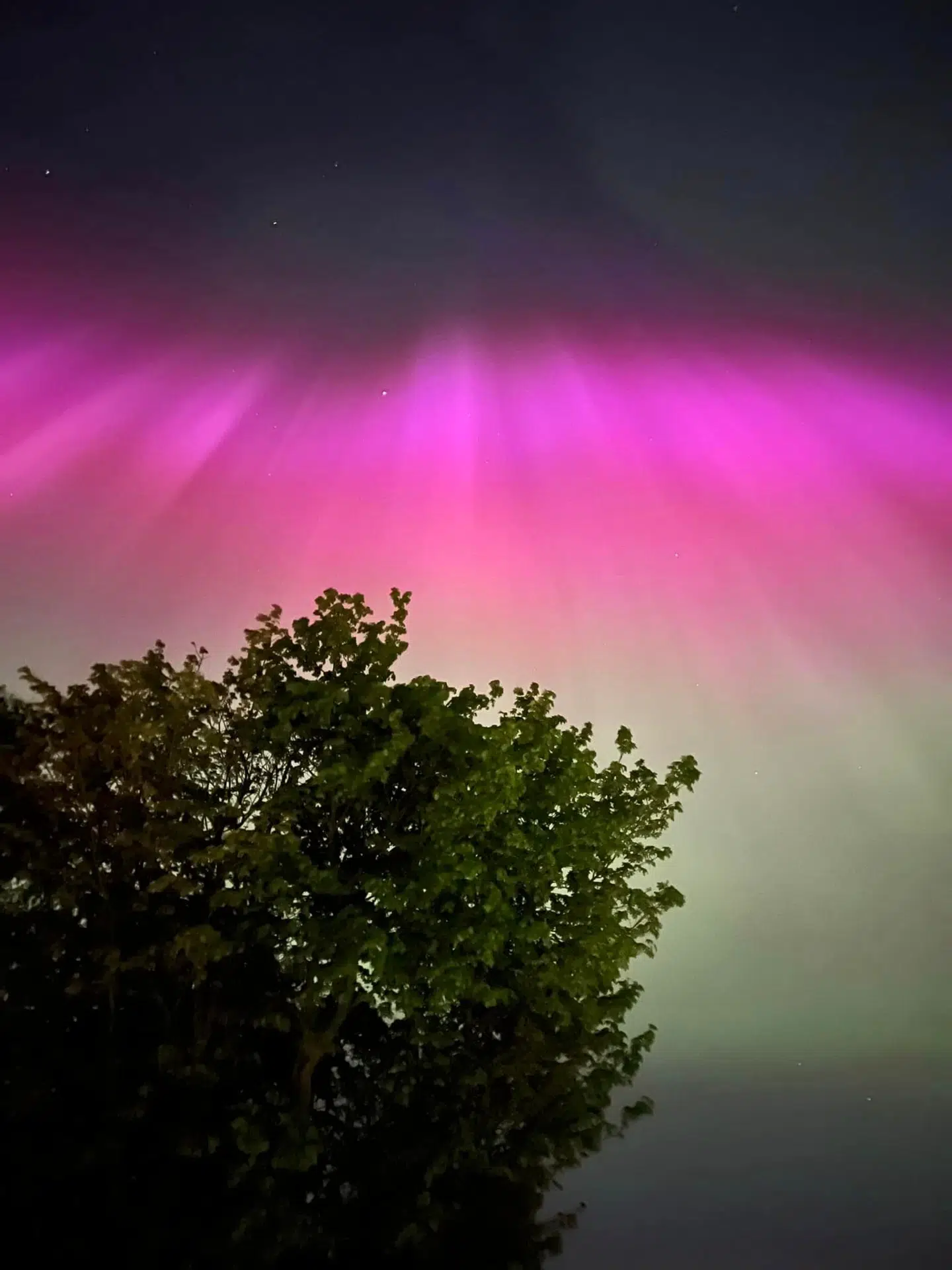 Også Alice Laborg fik et billede af fredag nats smukke nordlys i det østjyske. Foto: Privat