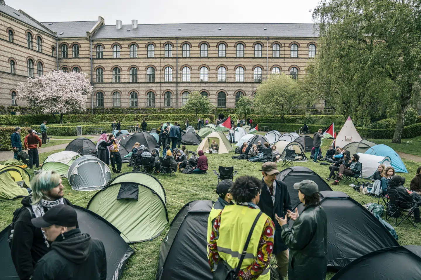 En propalæstinensisk teltlejr blev mandag slået op på Københavns Universitets område. Mandag skal repræsentanter for lejren mødes med universitetets ledelse. (Arkivfoto).