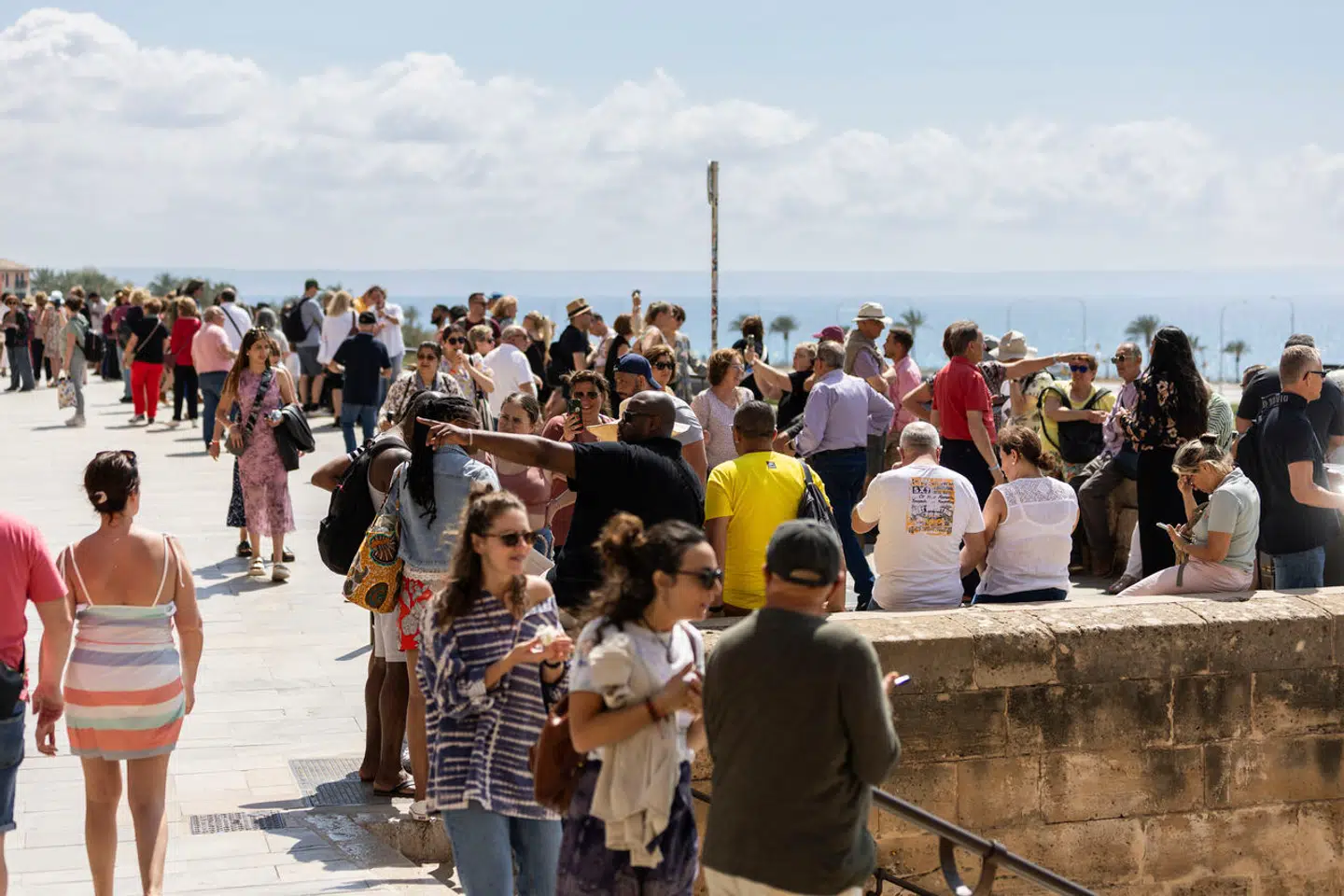 Turister stimler sammen foran den prægtige katedral i Palma, hovedbyen på Mallorca.