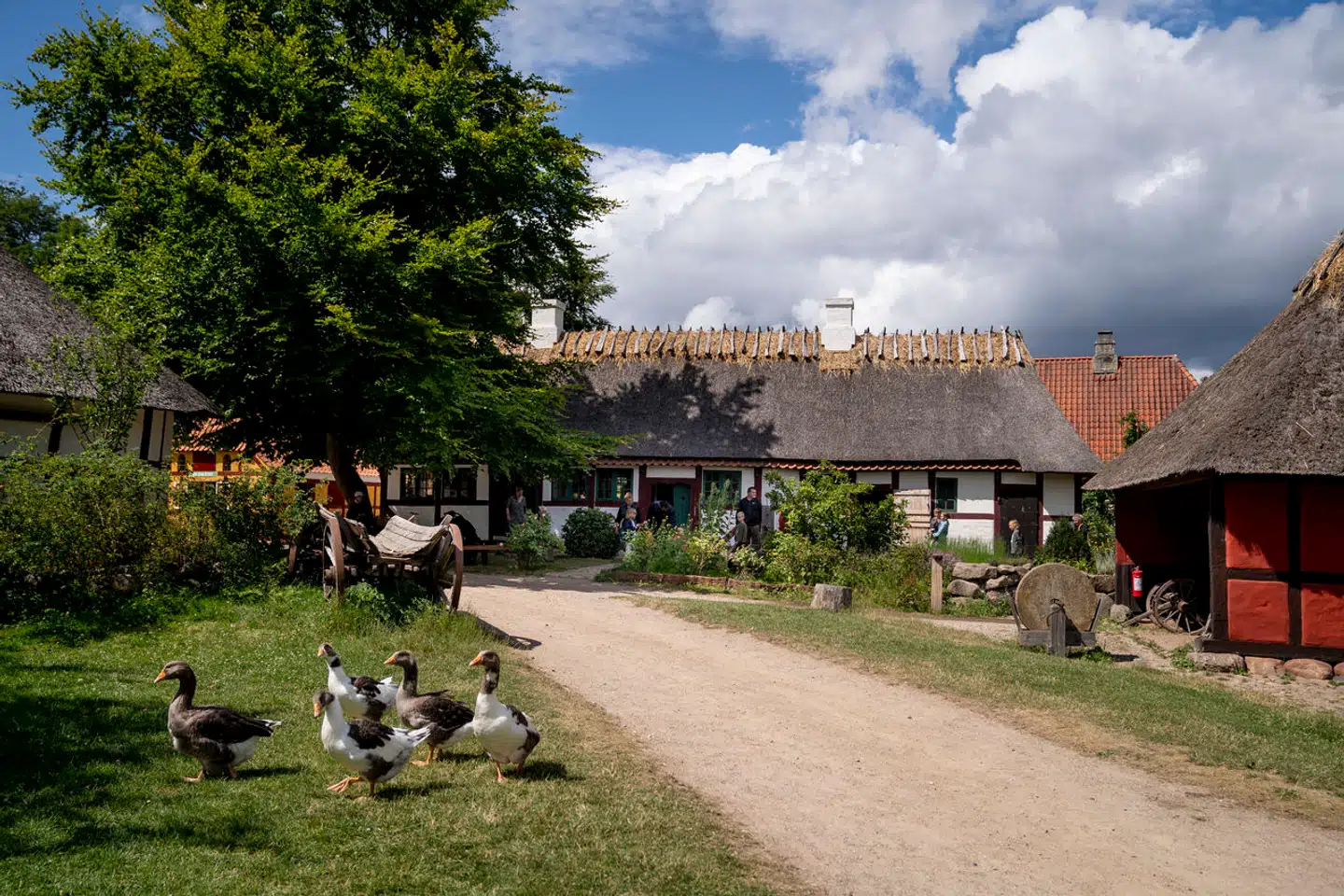 »Et af de fineste eksempler på en idé fra vore breddegrader, som har præget store dele af verden, er frilandsmuseerne, som opstod og blev udviklet i Sverige, Norge og Danmark i årtierne omkring år 1900,« skriver Brian Mikkelsen, Julie Rokkjær Birch og Thomas Bloch Ravn.