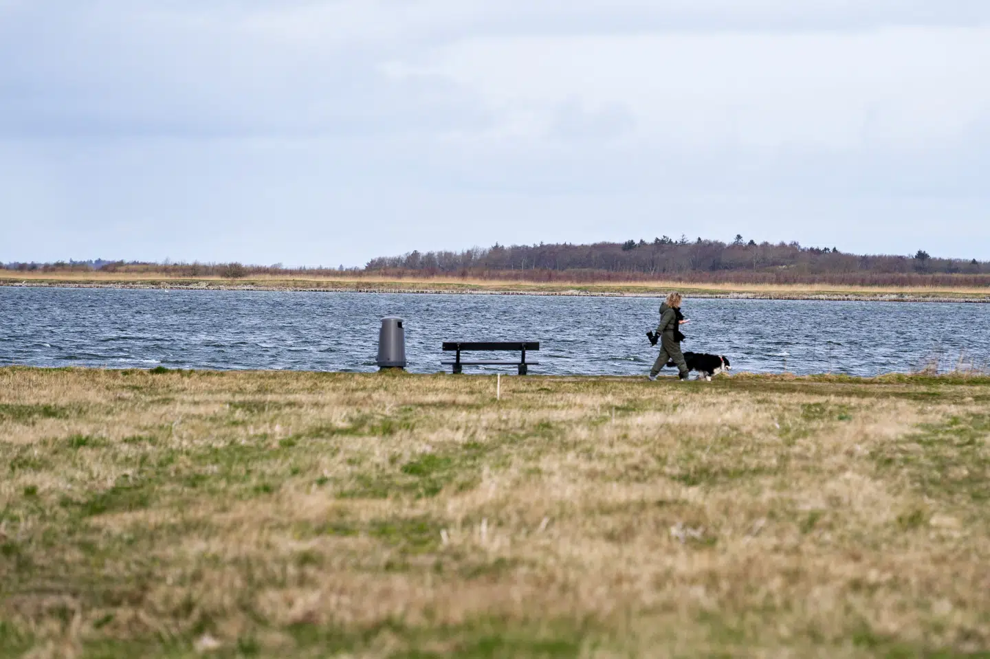En 3. Limfjordsforbindelse vil gå over øen Egholm. (Arkivfoto).