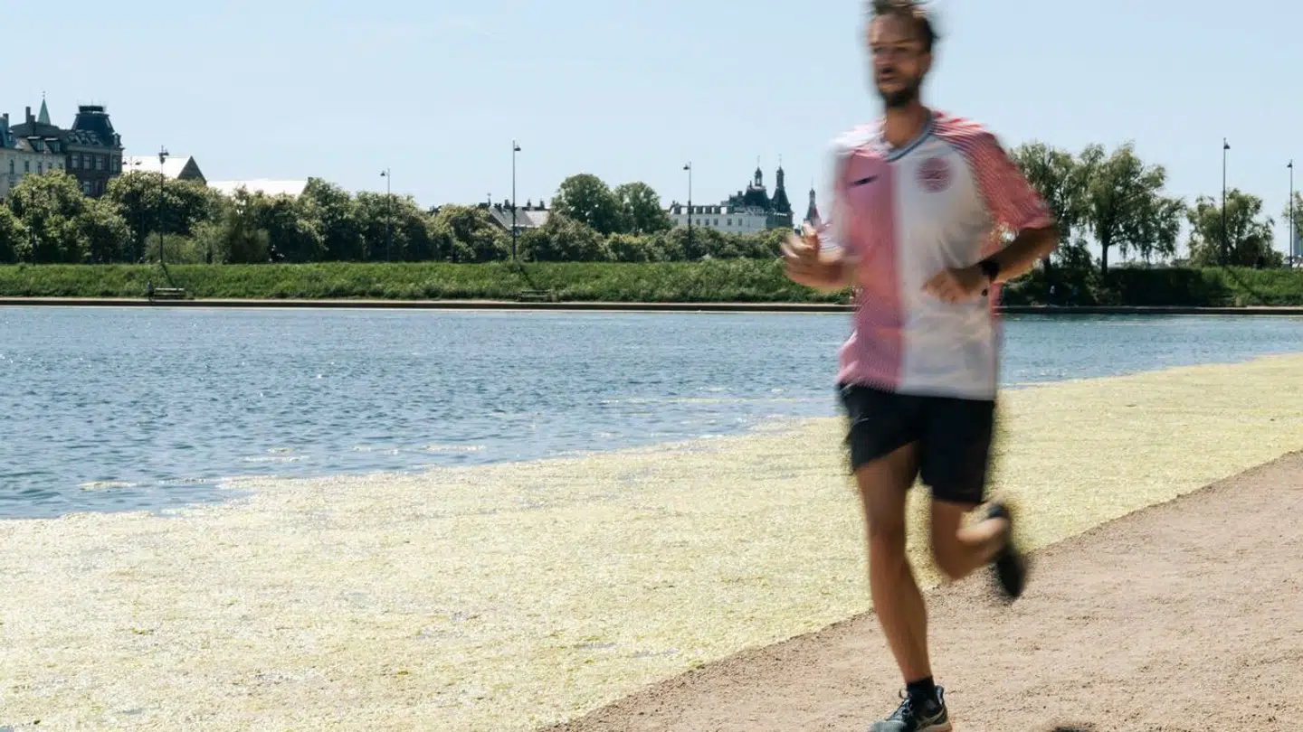 Så er den her: Årets første sommerdag er landet | Vejret | Nyheder | B.T.