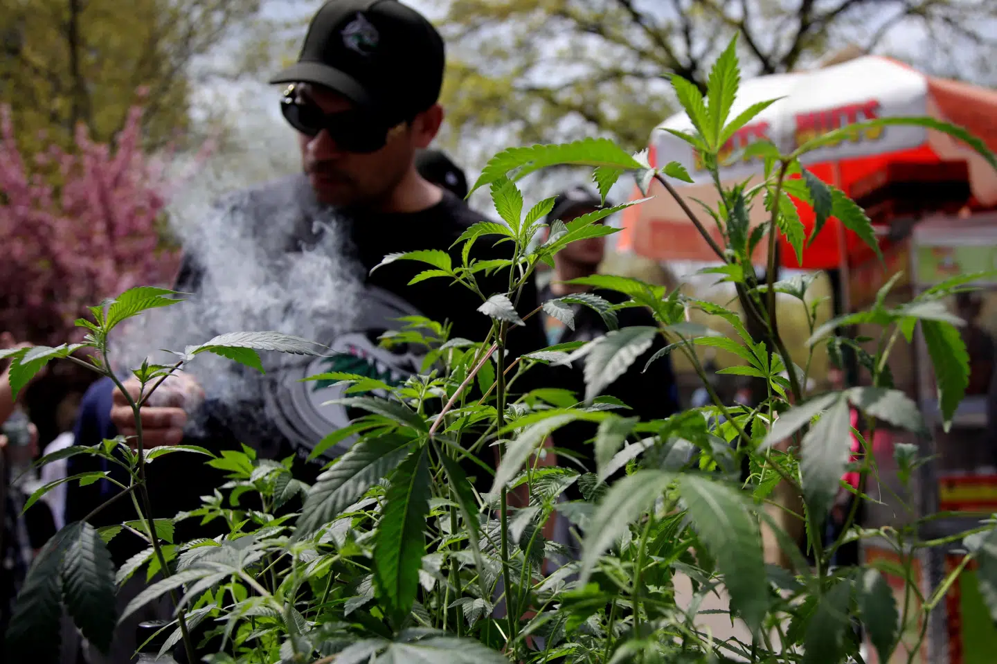 Joe Biden blev i 2022 den første amerikanske præsident til at iværksætte en vurdering af klassificeringen af cannabis på føderalt niveau. (Arkivfoto).