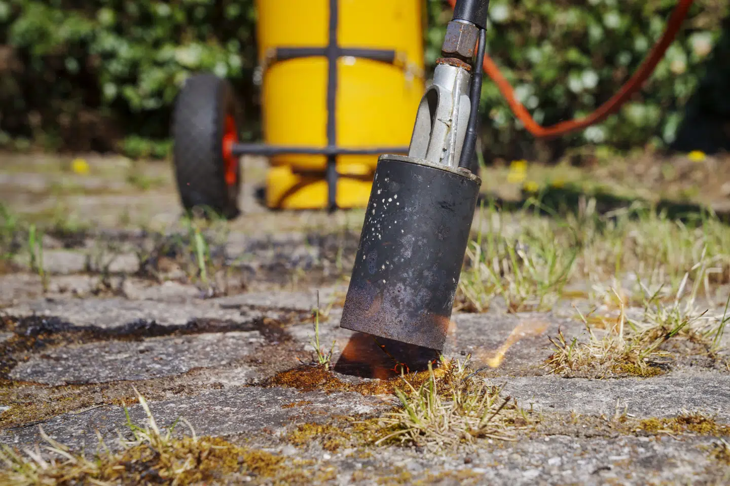 Sol, tørvejr og en del vind har på kort tid gjort naturen tør i det meste af landet. Pas derfor på med åben ild i form af for eksempel grill og ukrudtsbrændere i naturen, lyder en opfordring fra Danske Beredskaber. (Arkivfoto).