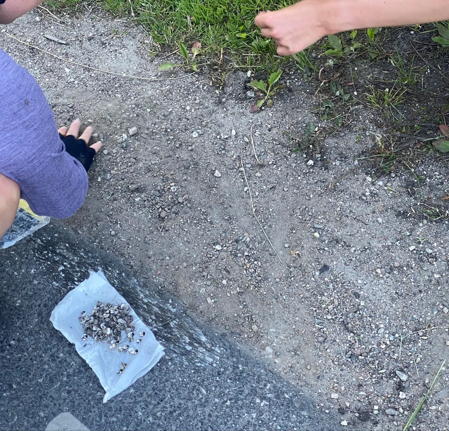 Omkring 50-60 tegnstifter var kastet ud over vejen på Amager.