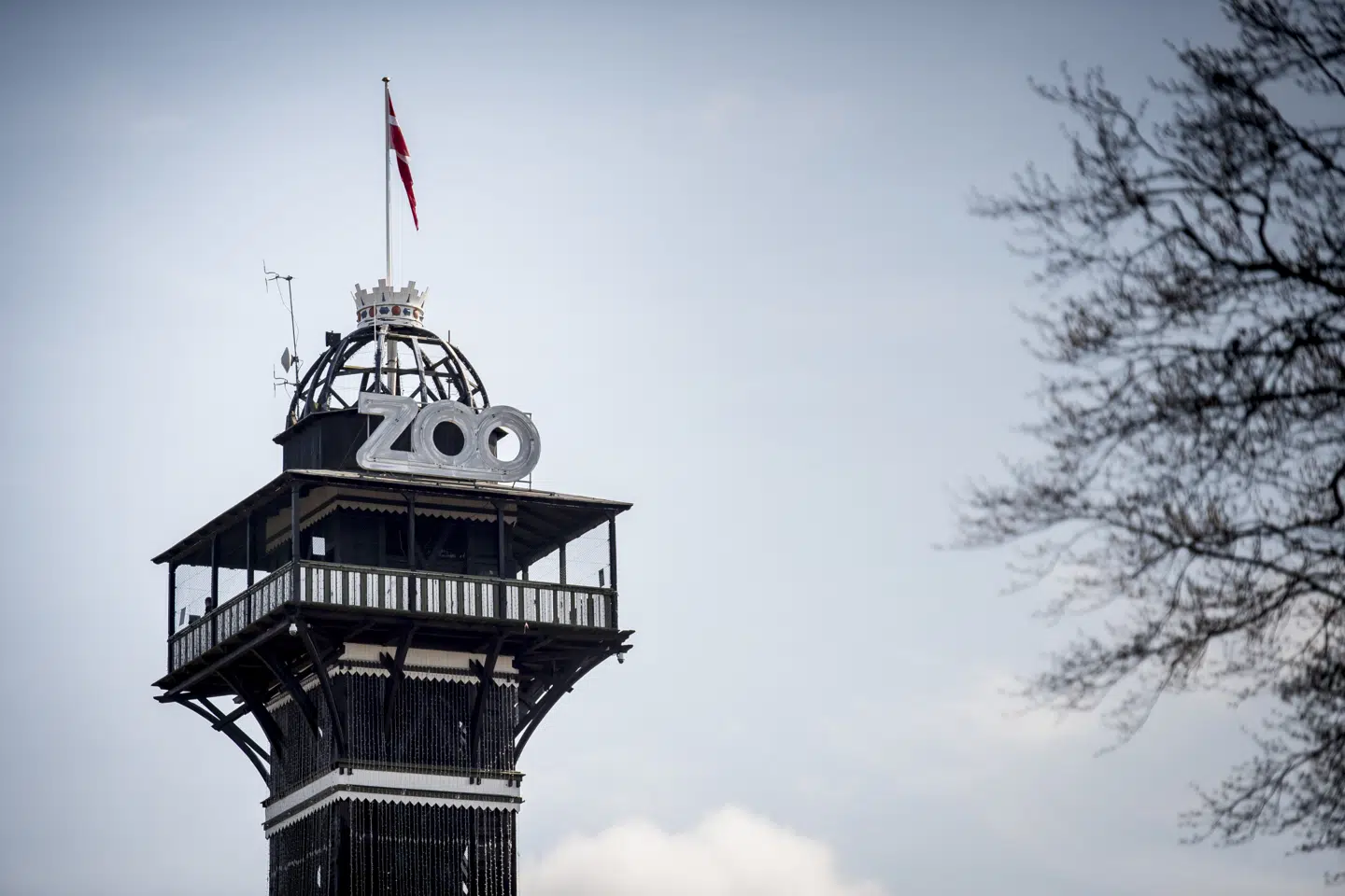 Københavns Zoo får nyt biodiversitetscenter. Byggeriet forventes at begynde i 2025 og vil efter planen stå færdigt i slutningen af 2026. (Arkivfoto).