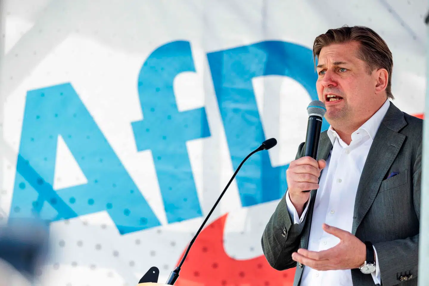 En udtalelse om den tyske historie kan måske splitte den yderste højrefløj i Europa. På billedet er spidskandidaten for det tyske parti Alternative für Deutschland, Maximilian Krah.